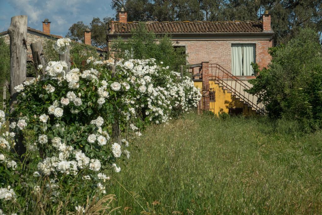 Resort La Ghiaia Sarzana Exterior photo