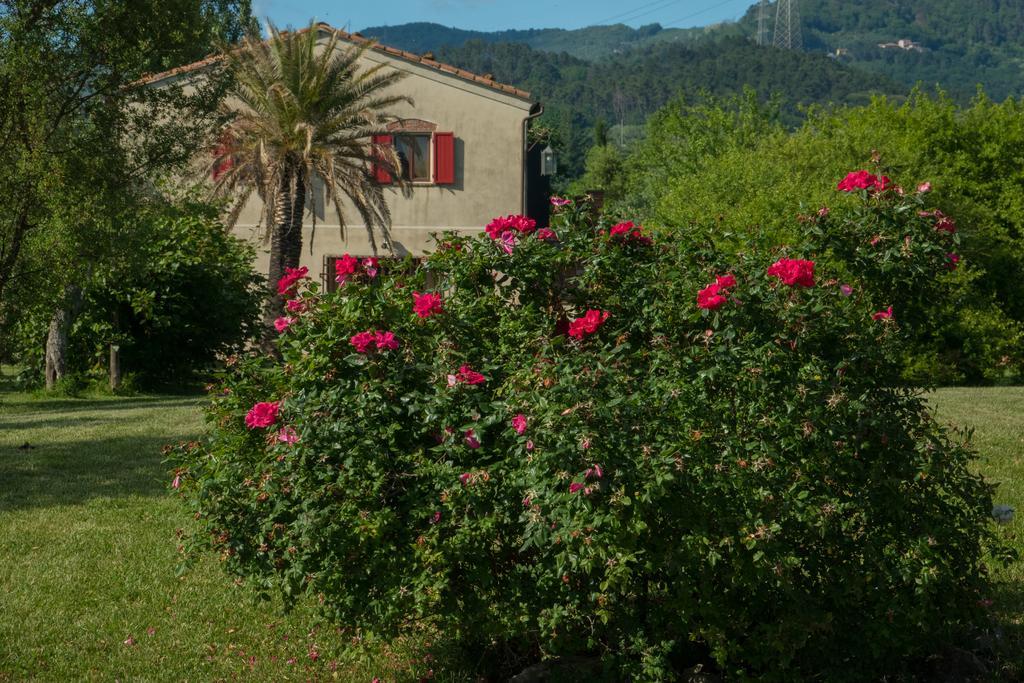 Resort La Ghiaia Sarzana Exterior photo